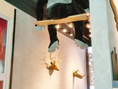 -ZOO COFFEE动物园咖啡(望京锐创店)