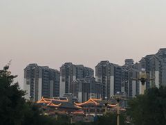-眉山湿地公园(东坡区)