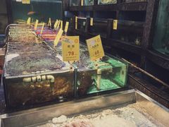 -新金盛·海鲜酒楼(盐田店)