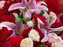 -玫瑰烘焙(商贸街店)