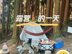 -武陵山森林公园