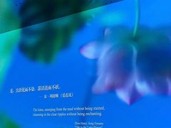 -中国湿地博物馆