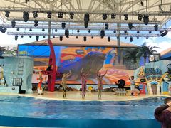 -三亚海昌梦幻海洋不夜城