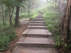 -崂山巨峰游览区