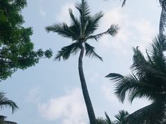 -三亚蜈支洲岛旅游区