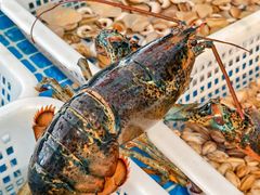 -碧海银沙海鲜餐厅(恒大海上威尼斯店)