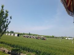 -嘉北郊野公园