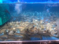-旺达·福州菜(正大广场店)