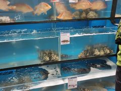 水产区-盒马鲜生(曜一城店)