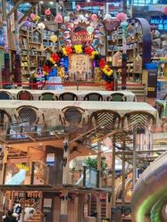 -卡通尼·Safari非洲探索乐园·生日会(金桥国际商业广场店)