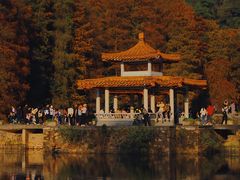 -深圳市中科院仙湖植物园