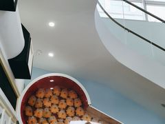 -极橙儿童齿科矫正中心(奥城店)
