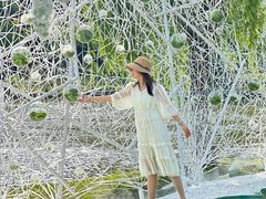 -上海鲜花港