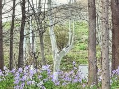 -东南大学(九龙湖校区)