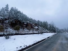 -四明山国家森林公园