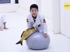 -菠萝格斗巴西柔术训练馆