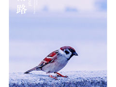 -白城沙滩
