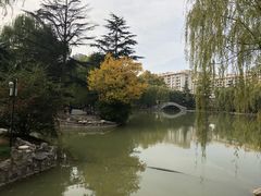 -西安市长乐公园
