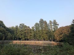 -武汉大学-樱园