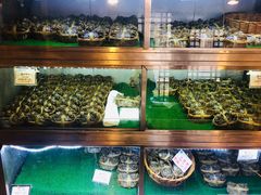 -成隆行·蟹王府(九江路店)