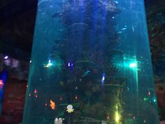 -青岛嘉年华主题乐园