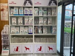 -爱侣宠医·鹦鹉专科·小型哺乳类·异宠专科(灵石路店)