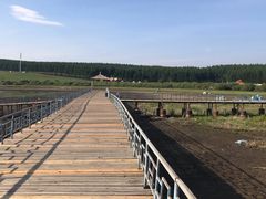 -塞罕坝国家级自然保护区