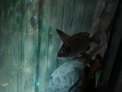 -沈阳海洋探索中心