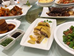 白斩鸡-金时代顺风大酒店(金山店)