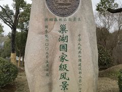 -合肥滨湖国家森林公园