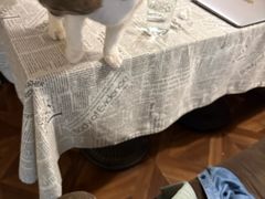-隅cafe(傅厚岗店)