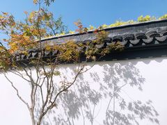 -和平公园