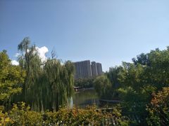 -迎泽公园