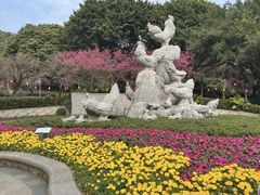 -金鸡山公园