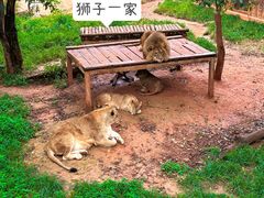-昆明动物园