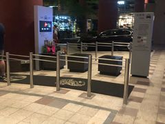 -上海波特曼丽思卡尔顿酒店