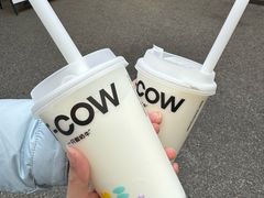 -一只酸奶牛(奎星楼店)