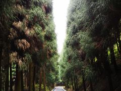 -太阳湾风景区