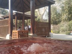 -春晖园度假酒店温泉