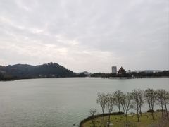 -顺峰山公园