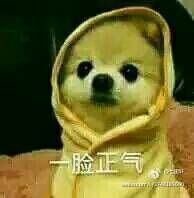 -峨嵋小镇·川菜(正定朗华店)