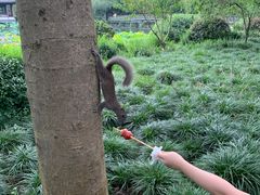 -苏堤停车场