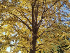 -辽宁大学(崇山校区)