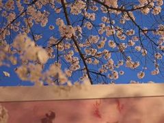 -南浦大桥长途旅游客运站