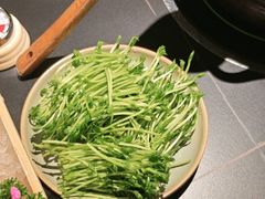 -季季山·云南野生菌火锅(上海首店)