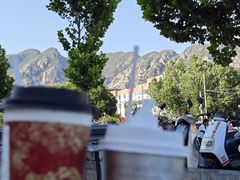 -雾与山茶(大禹城店)