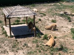 -新疆天山野生动物园