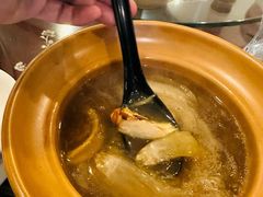 -大中鱼翅 Taitong Shark Fin