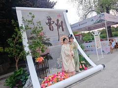-曹州牡丹园