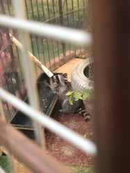 -萌宠亲子动物乐园(槐房万达店)